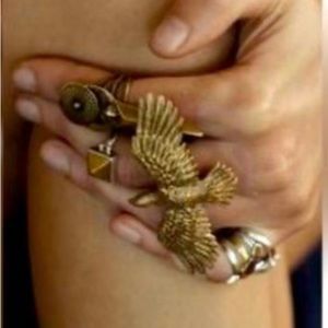 Spell and the Gypsy Phoenix rising Brass Ring